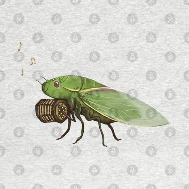 Cicada Playing a Squeezebox by Sophie Corrigan